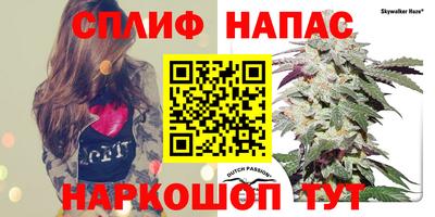 мдпв Краснодар