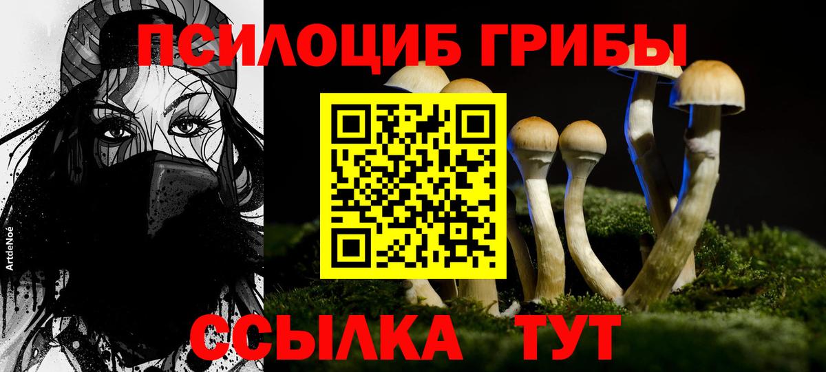 Псилоцибиновые грибы Magic Shrooms  Вход с VPN  где найти наркотики  Шахты 