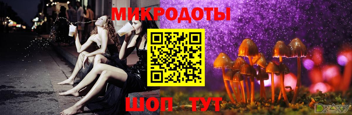 Псилоцибиновые грибы мицелий Шахты